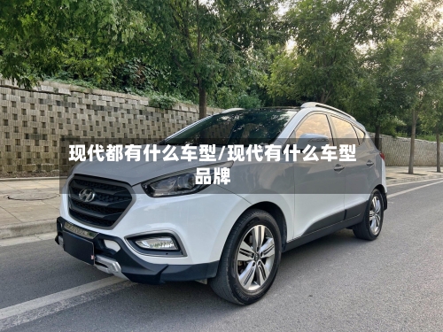 现代都有什么车型/现代有什么车型品牌-第3张图片