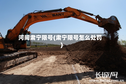 河间肃宁限号(肃宁限号怎么处罚)-第3张图片