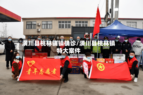 潢川县桃林铺镇确诊/潢川县桃林镇特大案件-第2张图片
