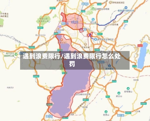 遇到浪费限行/遇到浪费限行怎么处罚-第2张图片