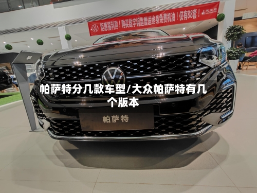 帕萨特分几款车型/大众帕萨特有几个版本-第2张图片