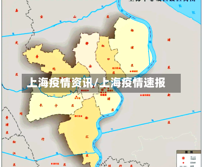 上海疫情资讯/上海疫情速报-第2张图片