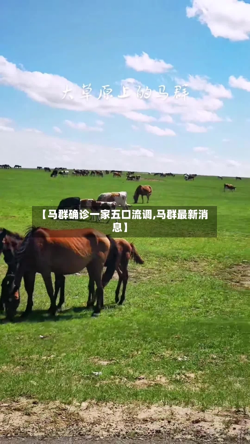 【马群确诊一家五口流调,马群最新消息】-第2张图片
