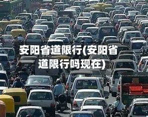 安阳省道限行(安阳省道限行吗现在)-第2张图片