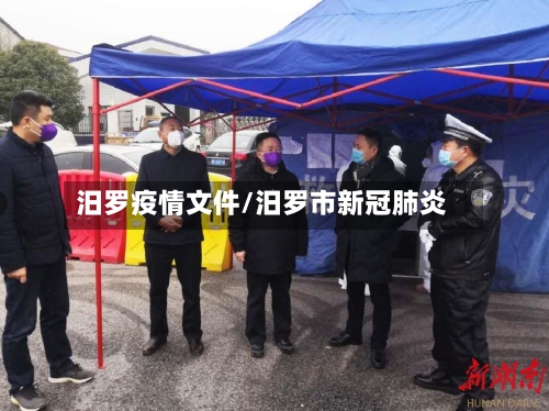 汨罗疫情文件/汨罗市新冠肺炎-第3张图片