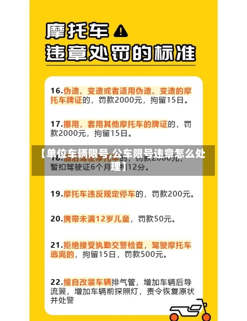【单位车辆限号,公车限号违章怎么处理】