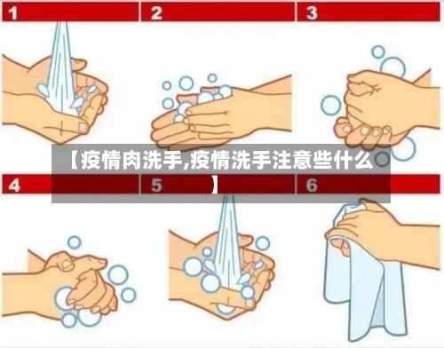 【疫情肉洗手,疫情洗手注意些什么】