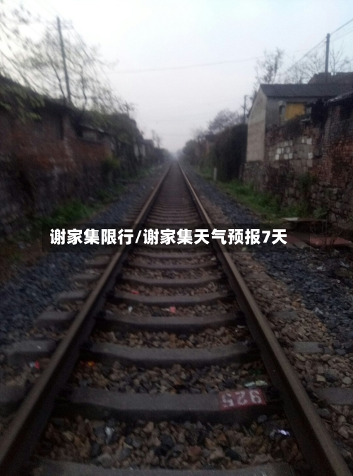 谢家集限行/谢家集天气预报7天-第2张图片