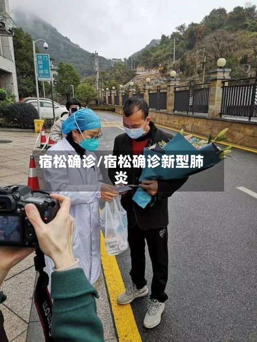 宿松确诊/宿松确诊新型肺炎-第2张图片