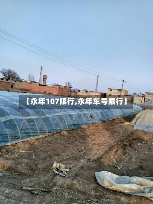 【永年107限行,永年车号限行】-第2张图片