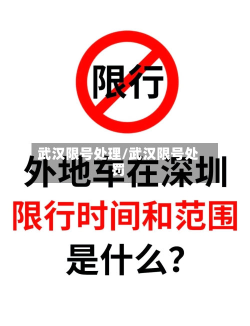 武汉限号处理/武汉限号处罚