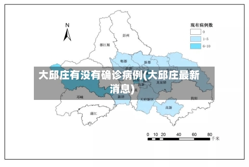 大邱庄有没有确诊病例(大邱庄最新消息)