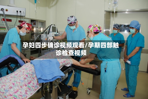 孕妇四步确诊视频观看/孕期四部触诊检查视频-第2张图片