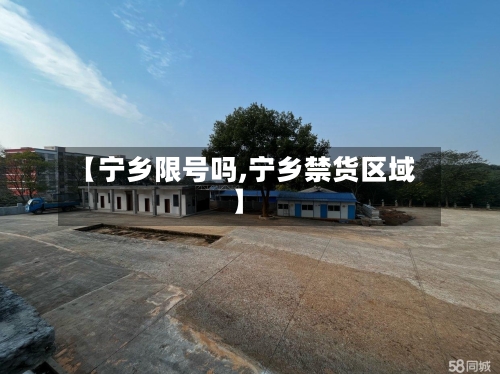 【宁乡限号吗,宁乡禁货区域】-第3张图片