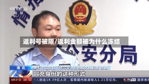返利号被限/返利金额被为什么冻结