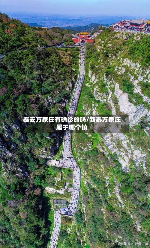 泰安万家庄有确诊的吗/新泰万家庄属于哪个镇