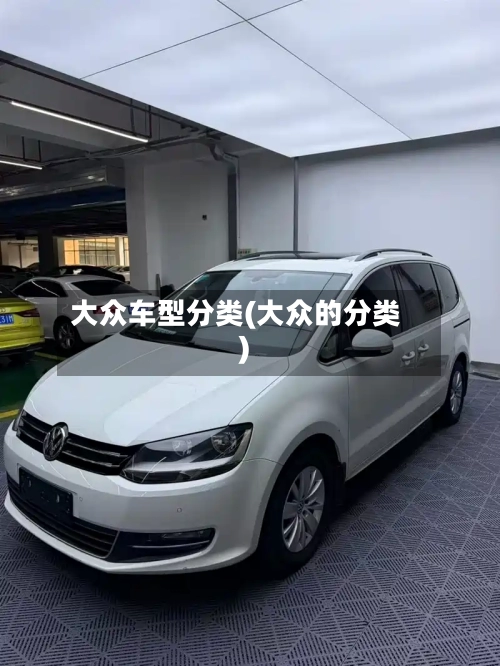 大众车型分类(大众的分类)-第3张图片