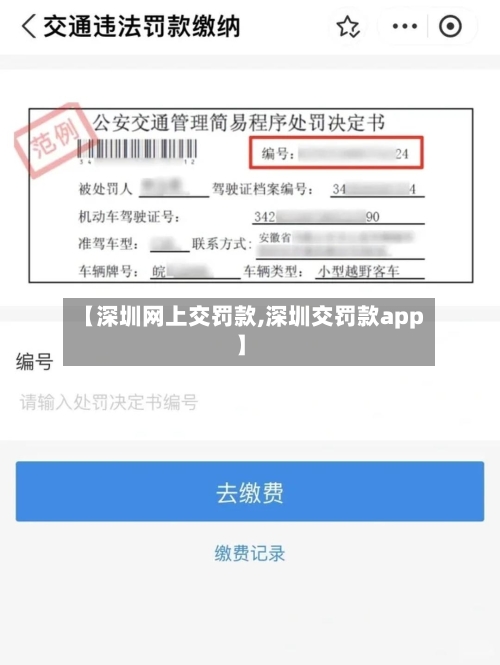 【深圳网上交罚款,深圳交罚款app】-第2张图片