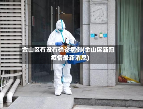 金山区有没有确诊病例(金山区新冠疫情最新消息)-第3张图片