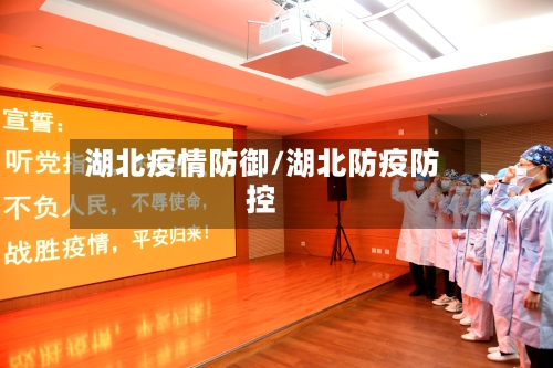 湖北疫情防御/湖北防疫防控-第2张图片