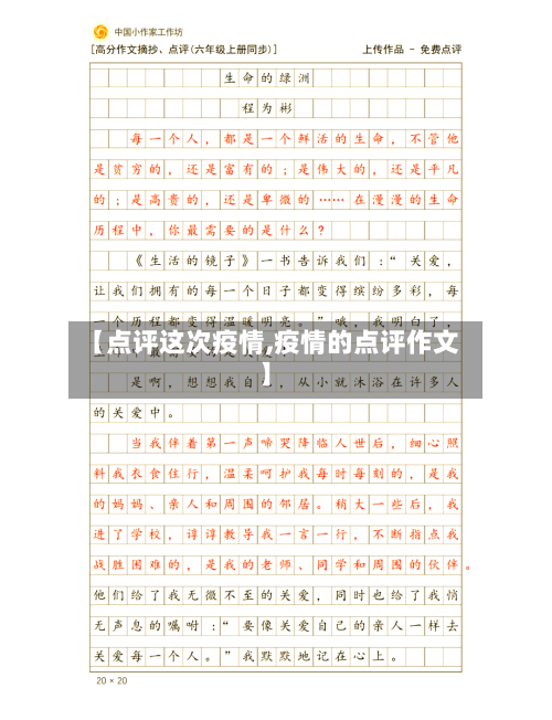 【点评这次疫情,疫情的点评作文】-第3张图片