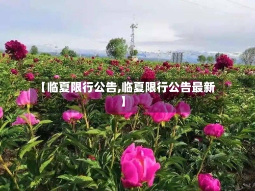 【临夏限行公告,临夏限行公告最新】