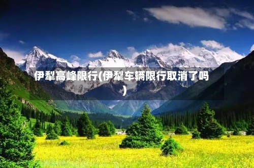 伊犁高峰限行(伊犁车辆限行取消了吗)