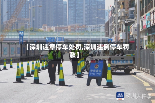 【深圳违章停车处罚,深圳违例停车罚款】-第3张图片