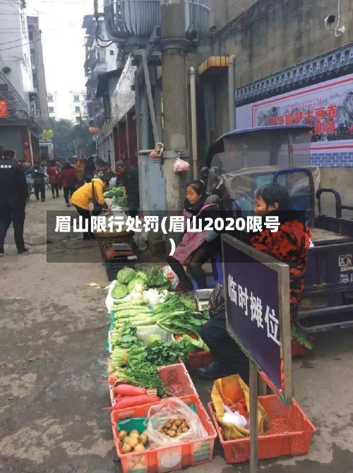 眉山限行处罚(眉山2020限号)-第3张图片