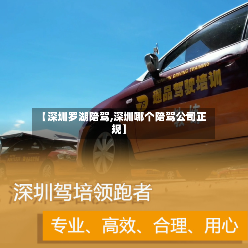 【深圳罗湖陪驾,深圳哪个陪驾公司正规】