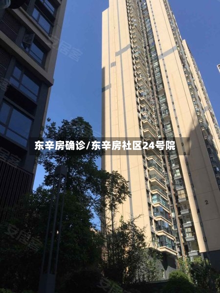 东辛房确诊/东辛房社区24号院-第2张图片