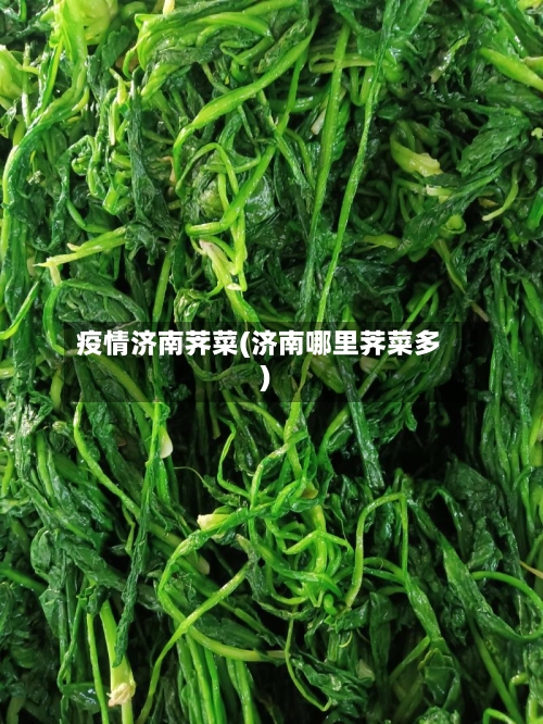 疫情济南荠菜(济南哪里荠菜多)