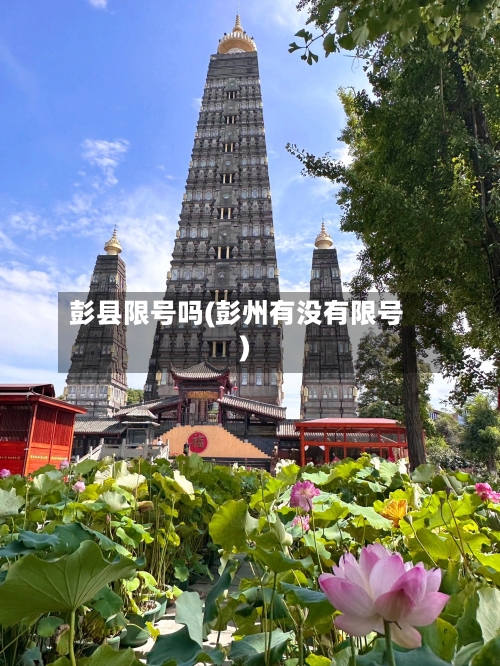 彭县限号吗(彭州有没有限号)-第3张图片