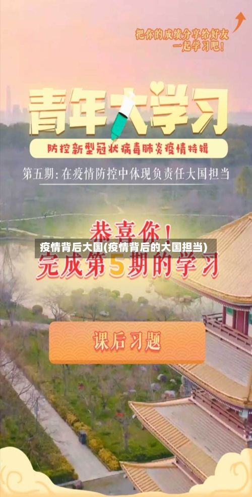 疫情背后大国(疫情背后的大国担当)