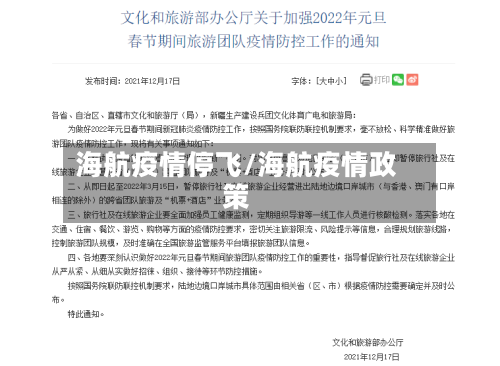 海航疫情停飞/海航疫情政策