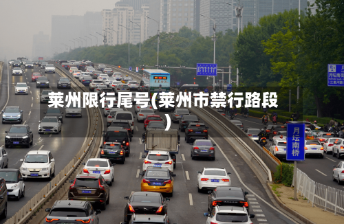 莱州限行尾号(莱州市禁行路段)