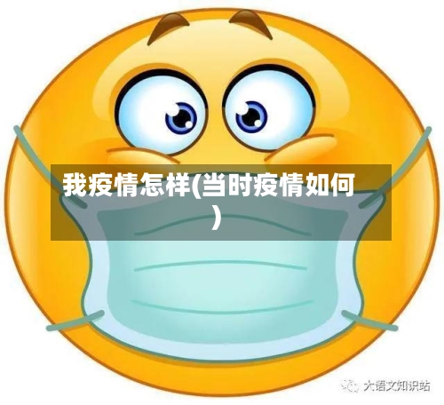 我疫情怎样(当时疫情如何)