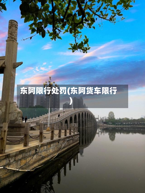 东阿限行处罚(东阿货车限行)-第2张图片