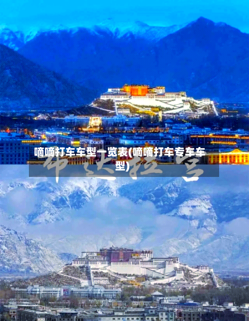 嘀嘀打车车型一览表(嘀嘀打车专车车型)-第2张图片