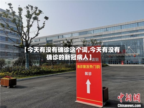 【今天有没有确诊这个词,今天有没有确诊的新冠病人】
