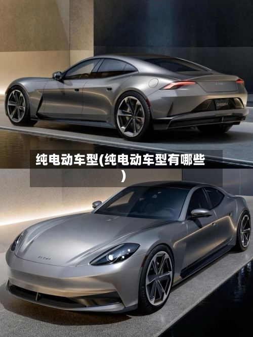 纯电动车型(纯电动车型有哪些)