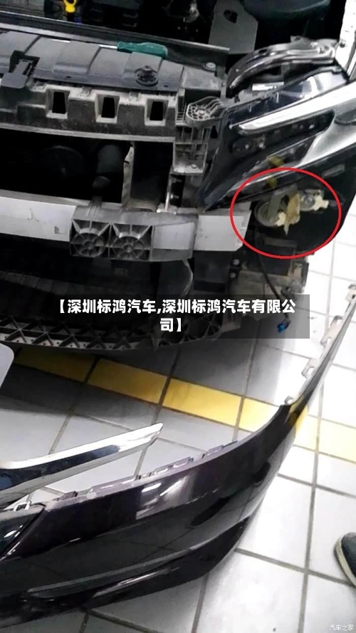 【深圳标鸿汽车,深圳标鸿汽车有限公司】