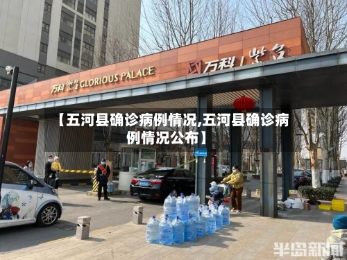 【五河县确诊病例情况,五河县确诊病例情况公布】-第2张图片