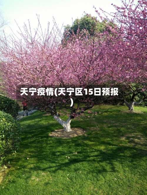 天宁疫情(天宁区15日预报)
