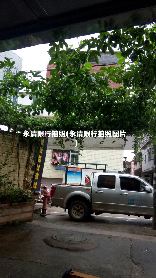 永清限行拍照(永清限行拍照图片)