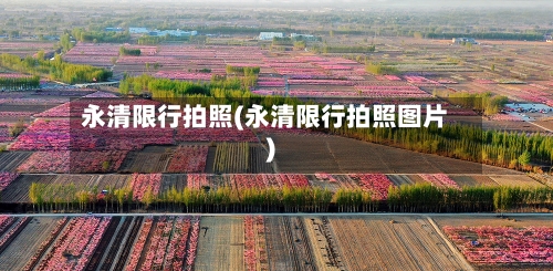 永清限行拍照(永清限行拍照图片)-第2张图片