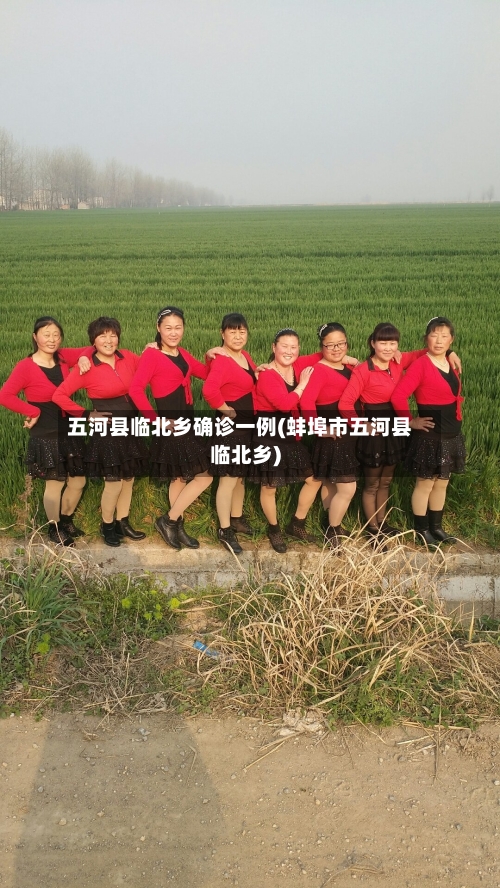 五河县临北乡确诊一例(蚌埠市五河县临北乡)-第2张图片
