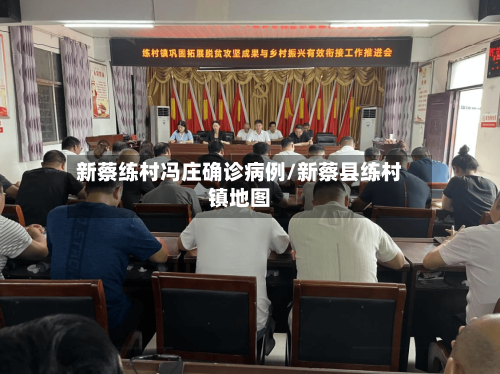新蔡练村冯庄确诊病例/新蔡县练村镇地图-第2张图片
