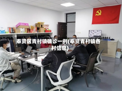 奉贤区青村镇确诊一例(奉贤青村镇各村信息)