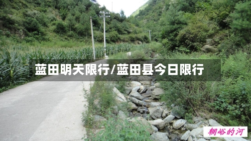蓝田明天限行/蓝田县今日限行-第3张图片